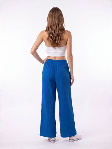 TorWeit Regular Pants in Blue