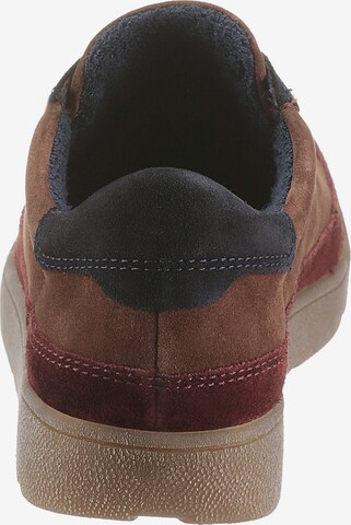 ARA Sneakers in Brown