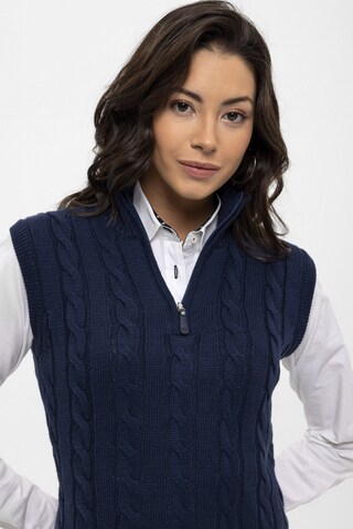 Felix Hardy Pullover in Blau