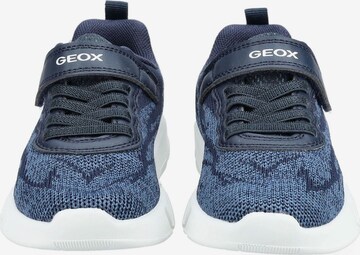 GEOX Sneakers in Blauw