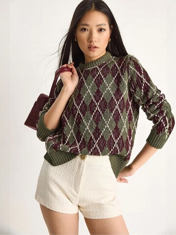 Bianco Lucci - Pullover 'Pullover' em verde