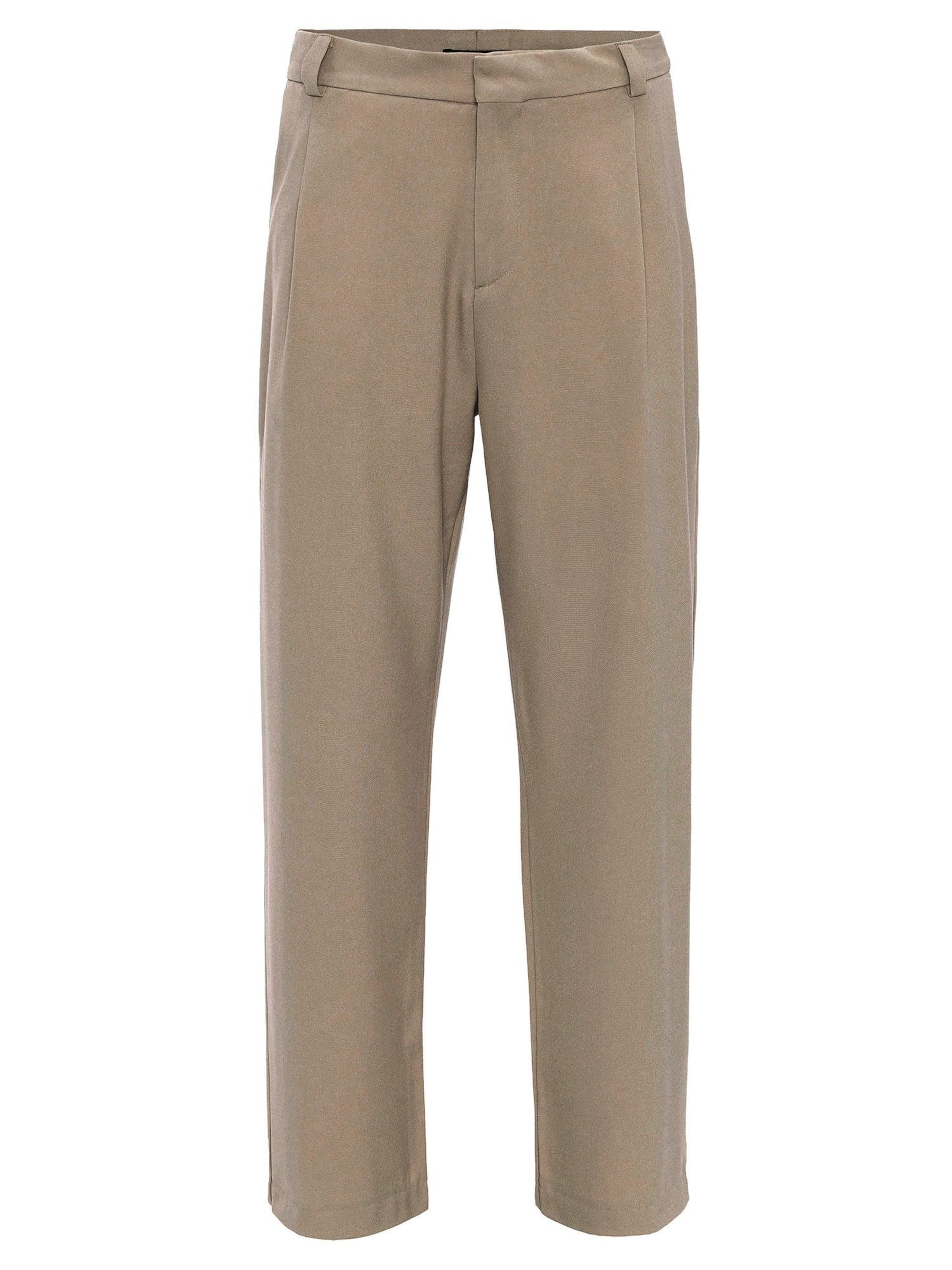 Antiochregular Hlače na crtu 'Doha' - bež boja: prednji dio