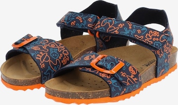 GEOX Sandals & Slippers in Blue