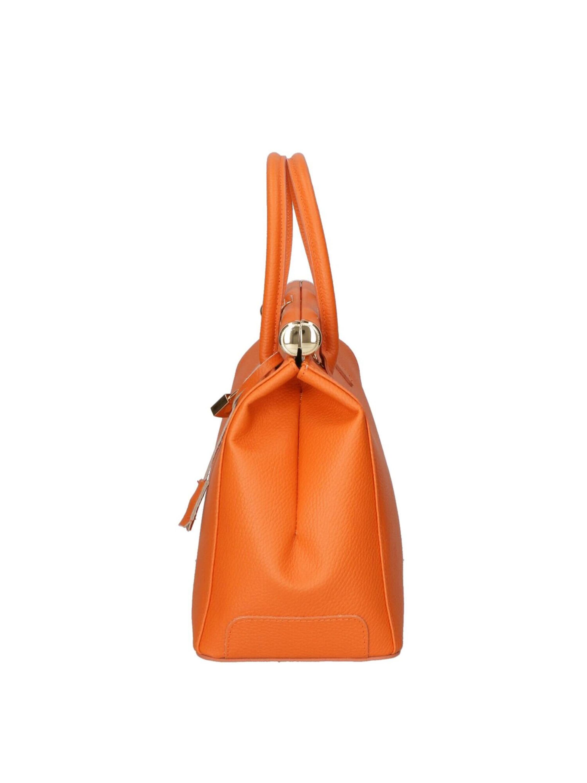 CHICCA BORSE Handbag in Orange