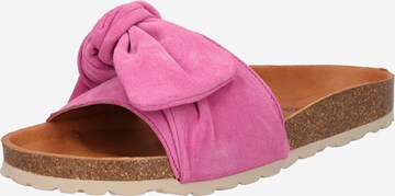 VERBENAS Mules 'ROXY RODA' in Pink: front