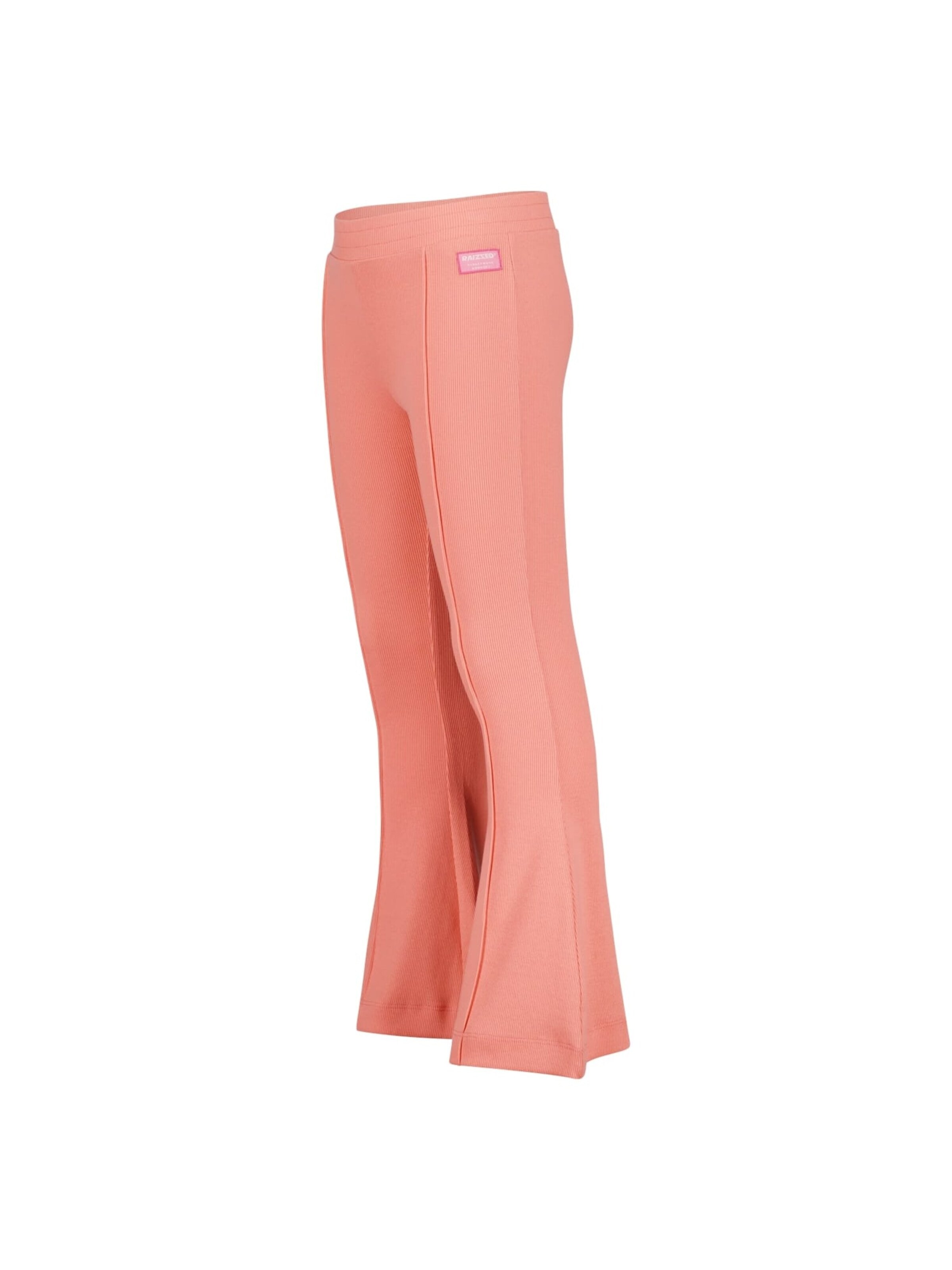 Raizzed Baggy Broek in Roze