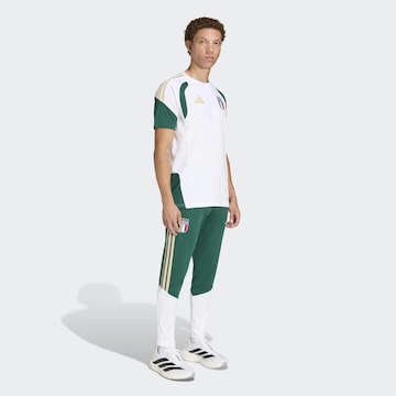 ADIDAS PERFORMANCE - Tapered Pantalón deportivo 'FIGC TR PNT' en verde: frente