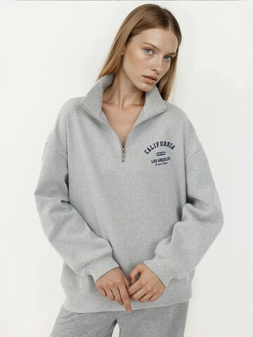 Hiccup Sweatshirt in Grau: Vorderseite