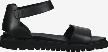 ARA Strap Sandals in Black