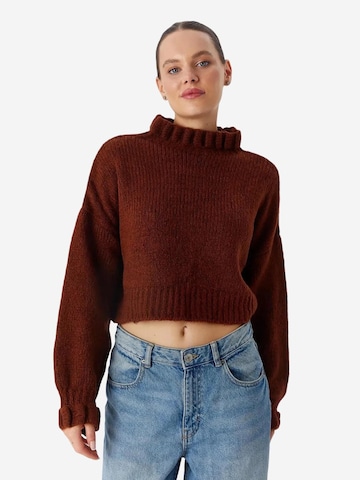 MixRay Pullover 'Pullover'‌‌‌‌ in Braun: Vorderseite