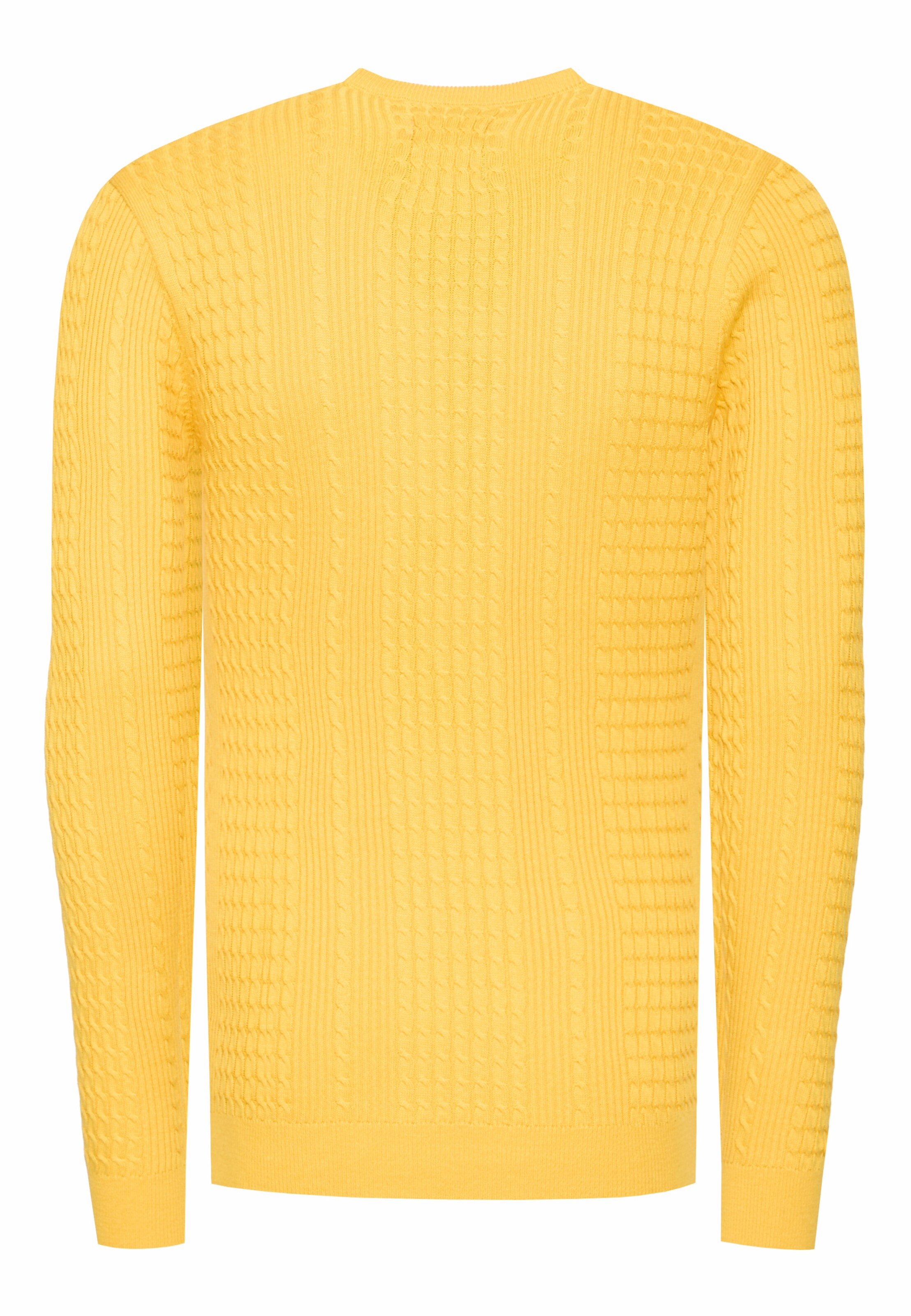 Rusty Neal Trui in Geel