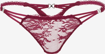 LASCANA - Tanga em roxo: frente