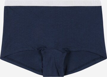 SCHIESSER Underpants in Mixed colors