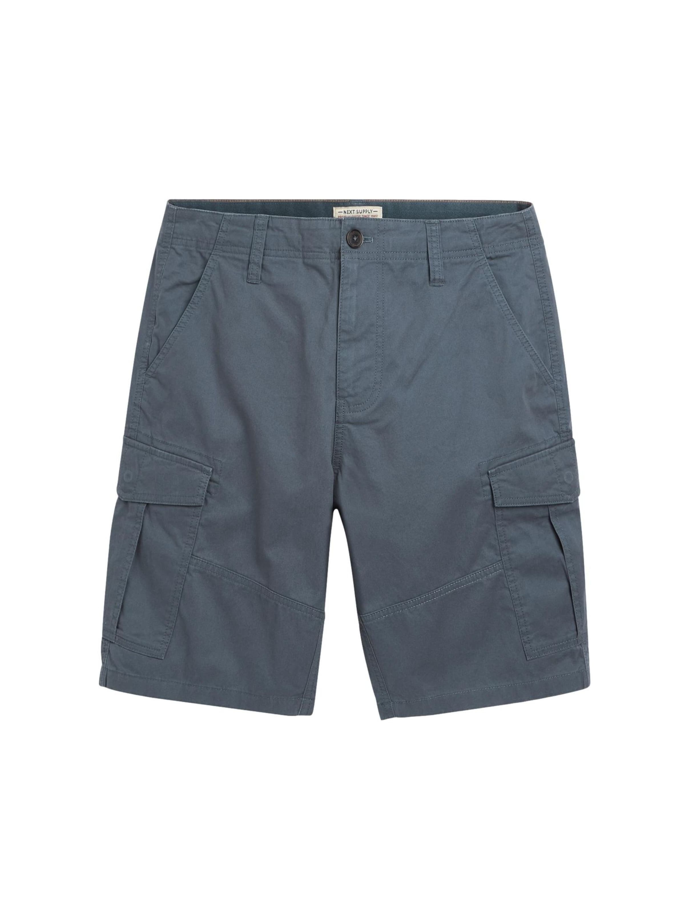 Regular Pantaloni cu buzunare de la Next pe albastru: față