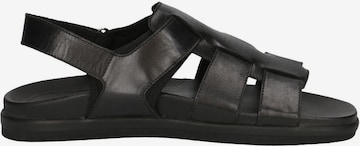 CAPRICE Sandals in Black