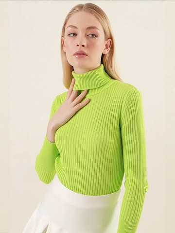 Bigdart Sweater in Green