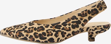 GABOR Remmiavokkaat värissä monivärinen: etupuoli