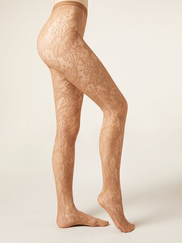CALZEDONIA Tights in Beige: front
