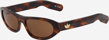 ADIDAS ORIGINALS Solglasögon i brun: framsida