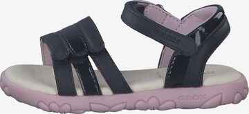 GEOX Sandals in Blue