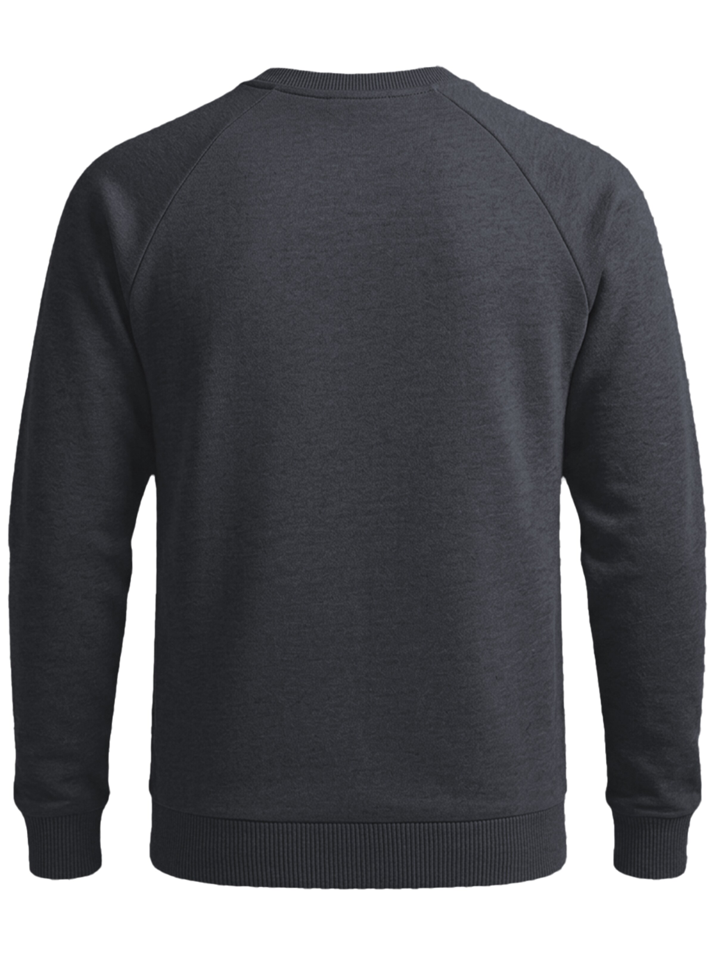 FORSBERG Sweatshirt 'mit Frottee Logo' in Grey
