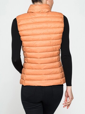 Carrera Jeans Outdoor jacket 'Ultra-Light' in Orange