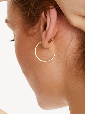 TAMARIS Earrings in Gold: front