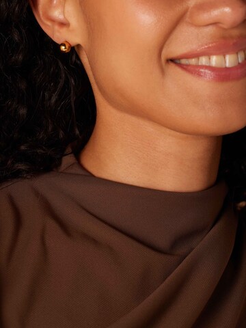 Boucles d'oreilles Lucardi en or : devant