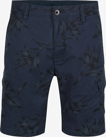 O'NEILL Cargo Pants 'Complex' in Blue: front