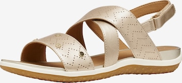 Sandalo di GEOX in oro: frontale