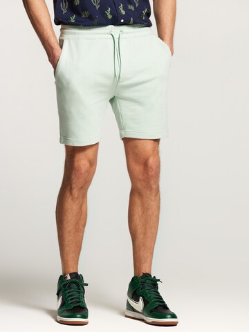 regular Pantaloni 'Steve' di Shiwi in verde: frontale