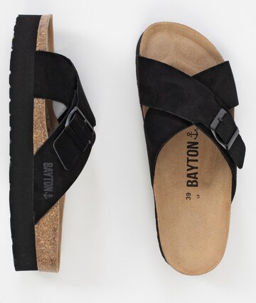 Bayton Mules 'Ajax' in Black