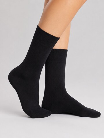 sockenkauf24 Socks 'Business Socken' in Mixed colors