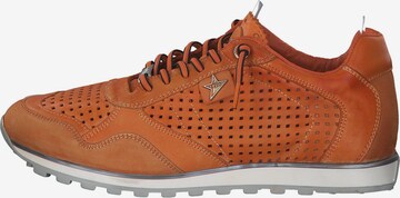 Cetti Sneakers 'C848 M' in Orange