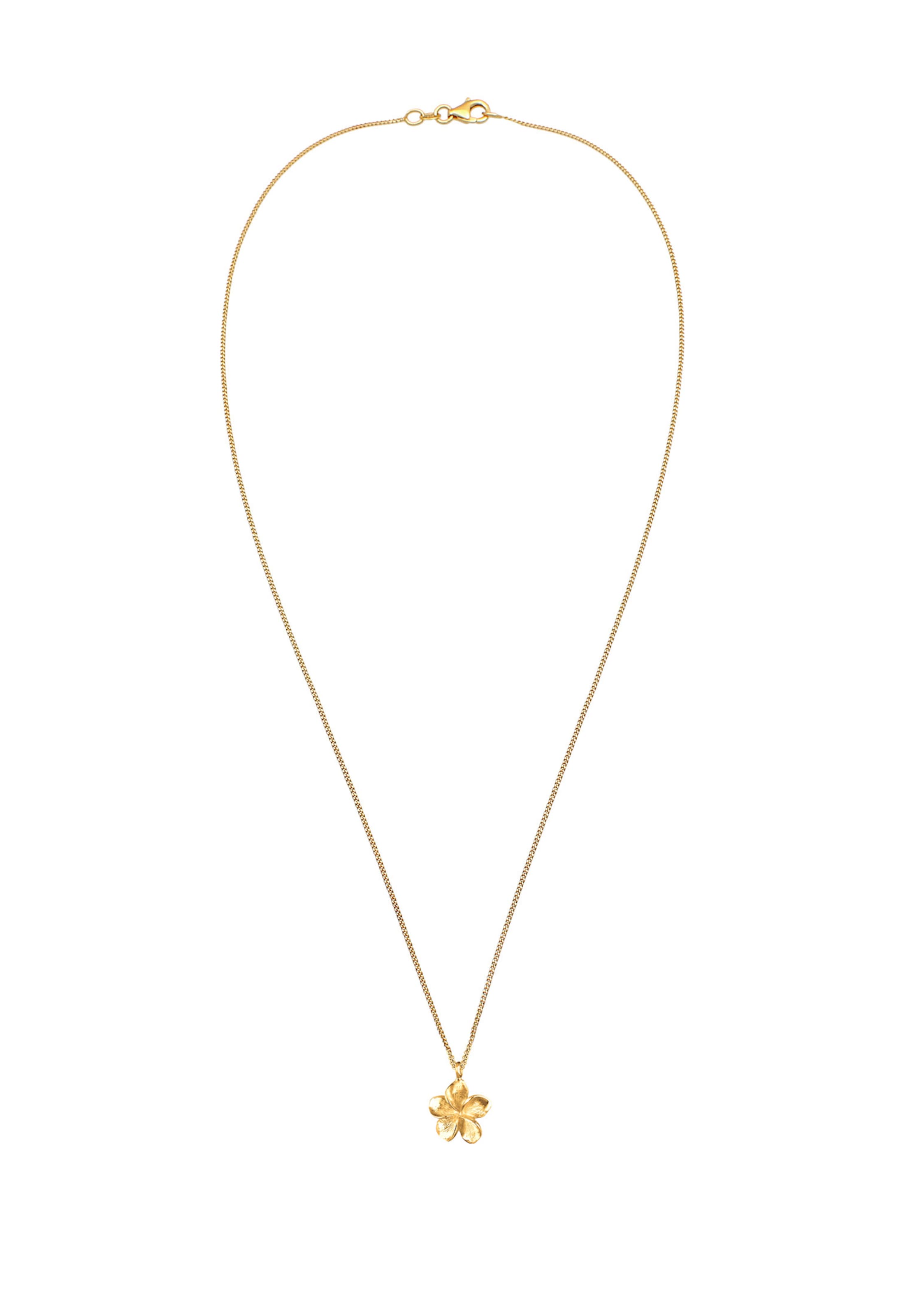 Chaîne 'Frangipani Blüte' ELLI en or : devant