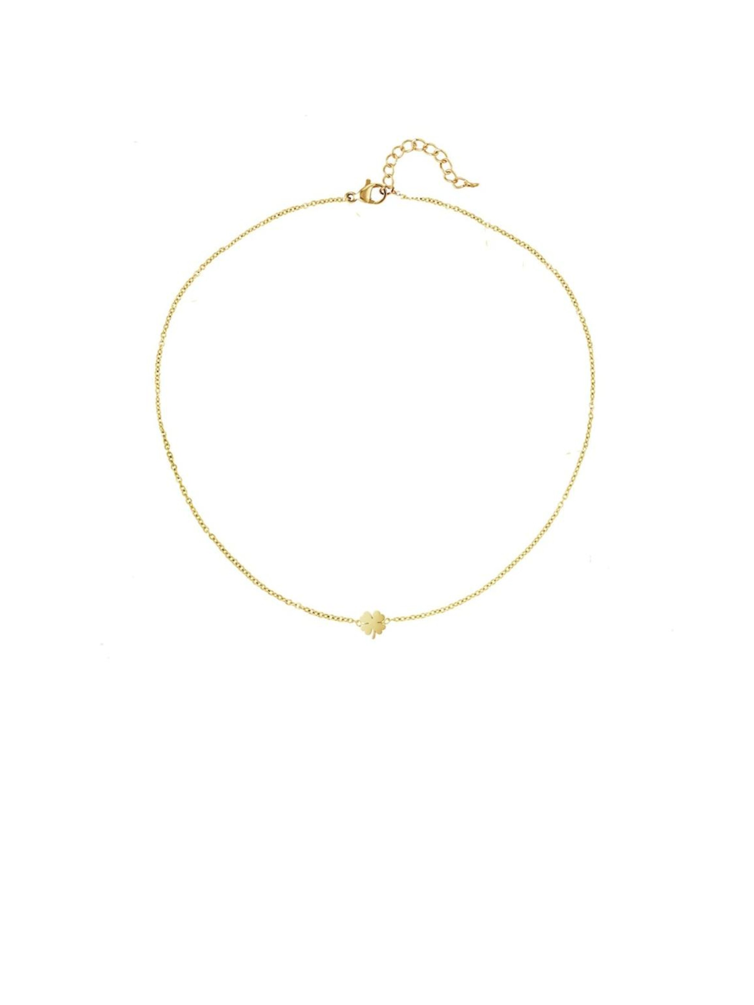 Chaîne 'LUCKY YOU' Cala Rose en or : devant