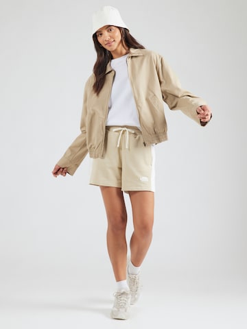 THE NORTH FACE Loosefit Shorts in Grau