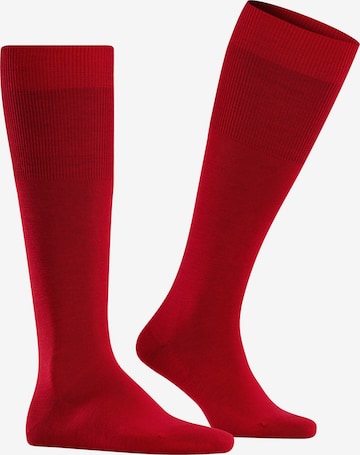FALKE Knee High Socks 'Airport' in Red: front