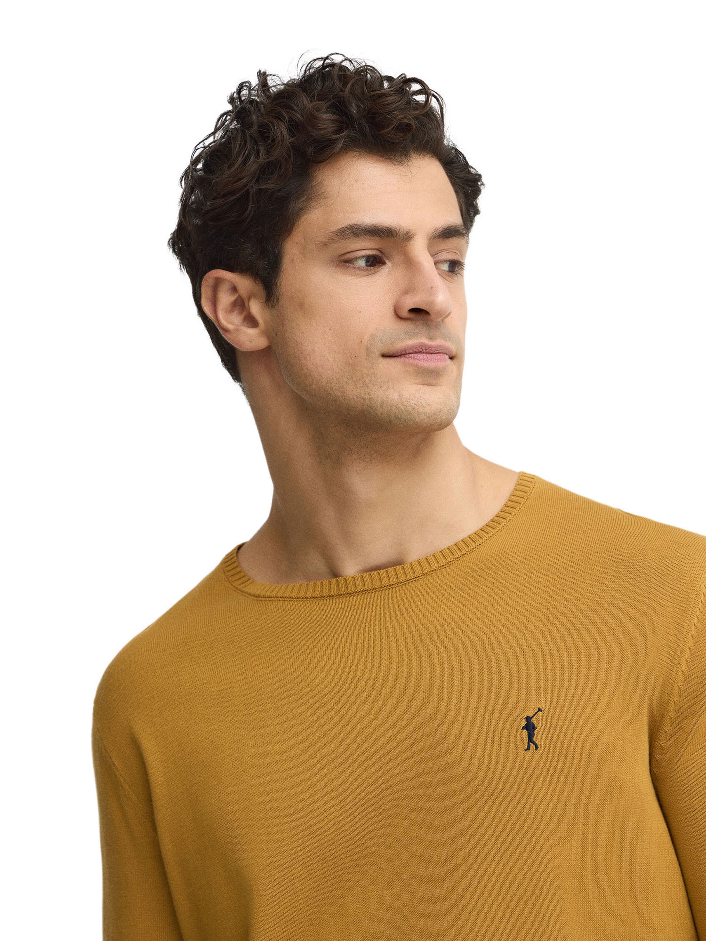 Polo Club Pullover 'Rigby' in Gelb