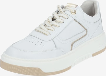 Baskets basses Nero Giardini en blanc : devant