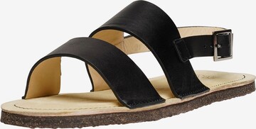 Henry Stevens Sandals 'DREW DRS' in Black: front