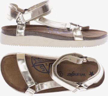 WRANGLER Sandalen 38 in Gold: predná strana