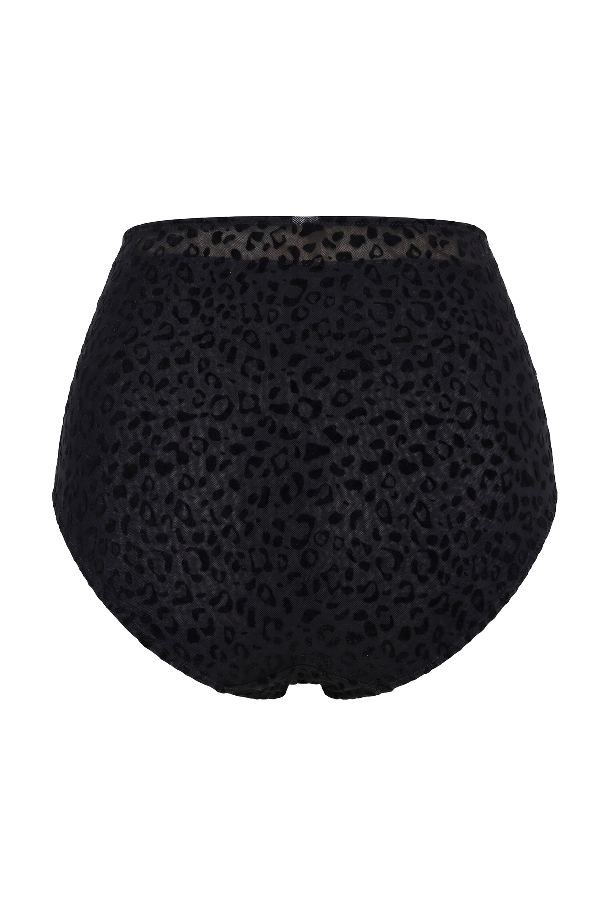 TruYou Panty in Black