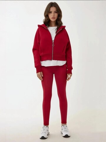 Hiccup Zip-Up Hoodie in Red