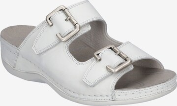 Westland Mules ' Cholet' in White