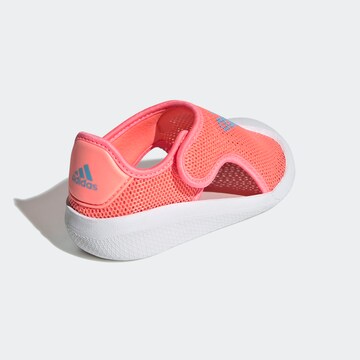 ADIDAS SPORTSWEAR Beach & Pool Shoes 'Altaventure' in Orange