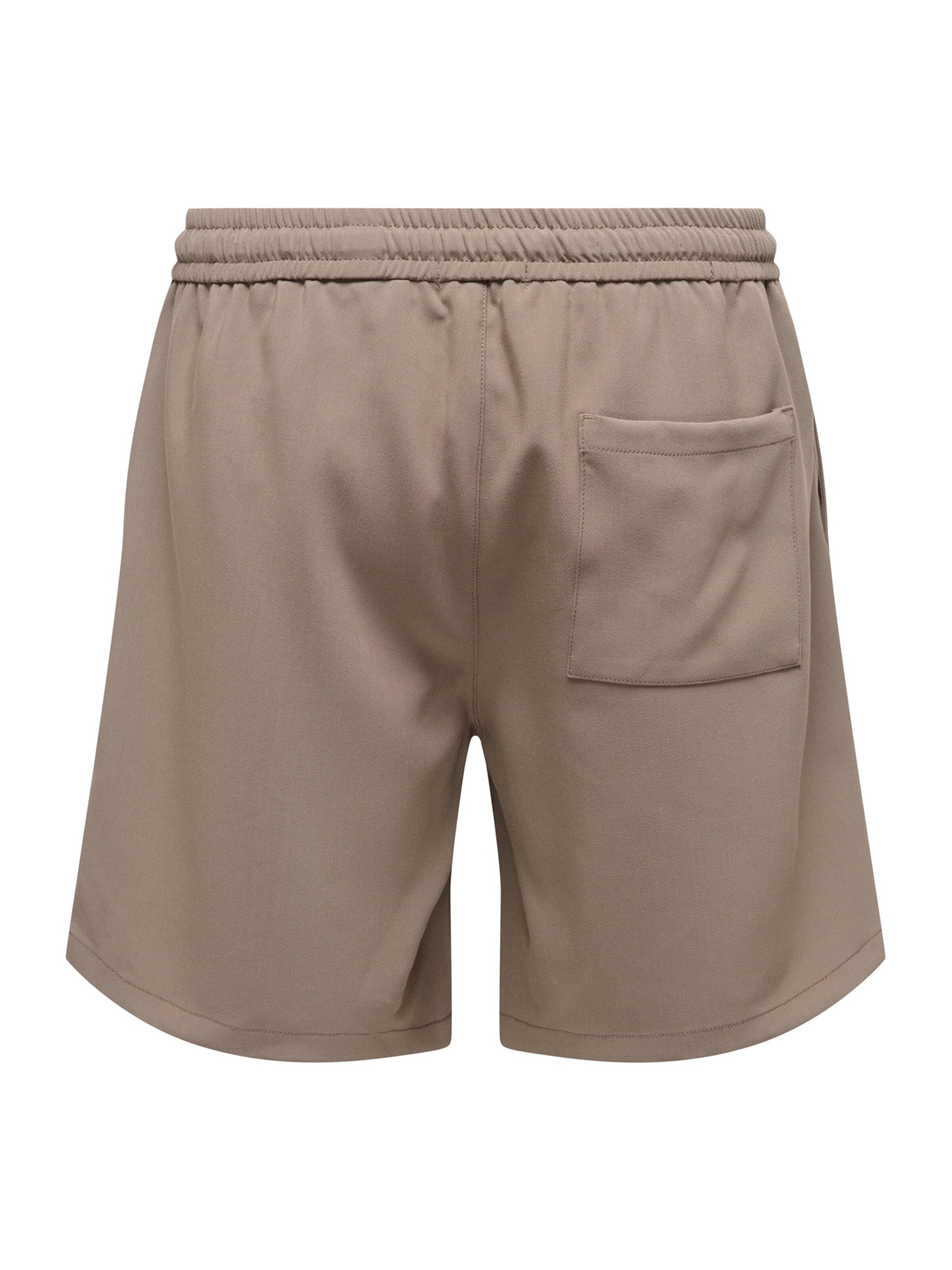 Only & Sons Loose fit Pleat-Front Pants 'ONSWill' in Brown