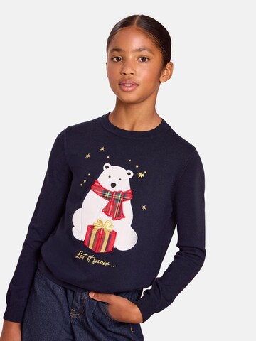 Pull-over Lipsy en bleu : devant