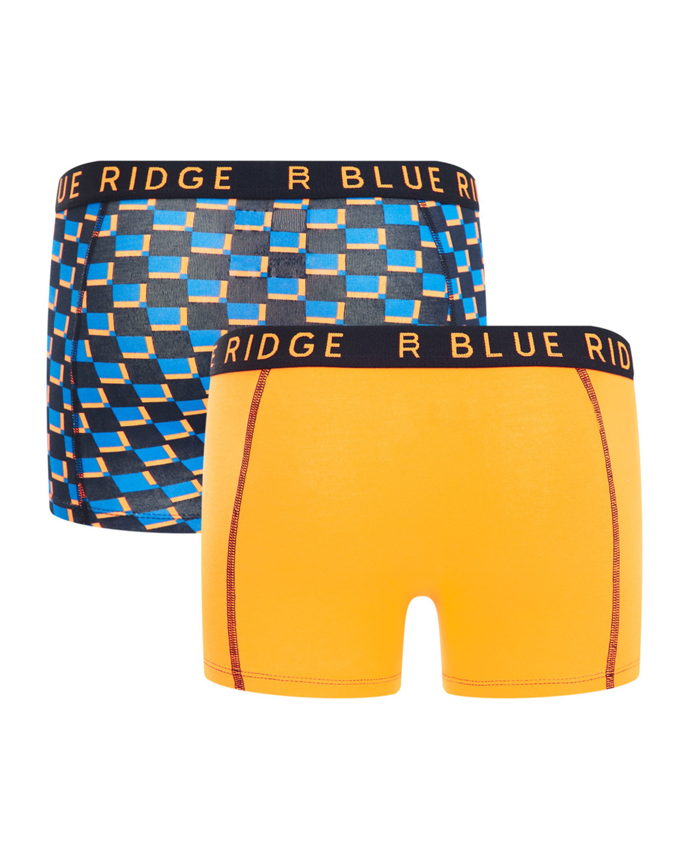 WE Fashion Underpants in Blue