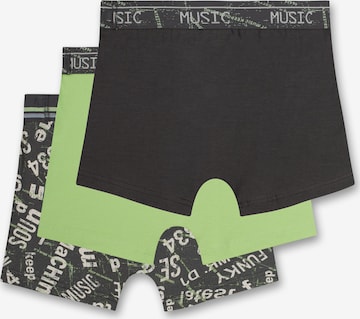 SANETTA Underpants in Green